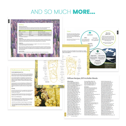 Advanced Oil Magic Hardback Book Series 9