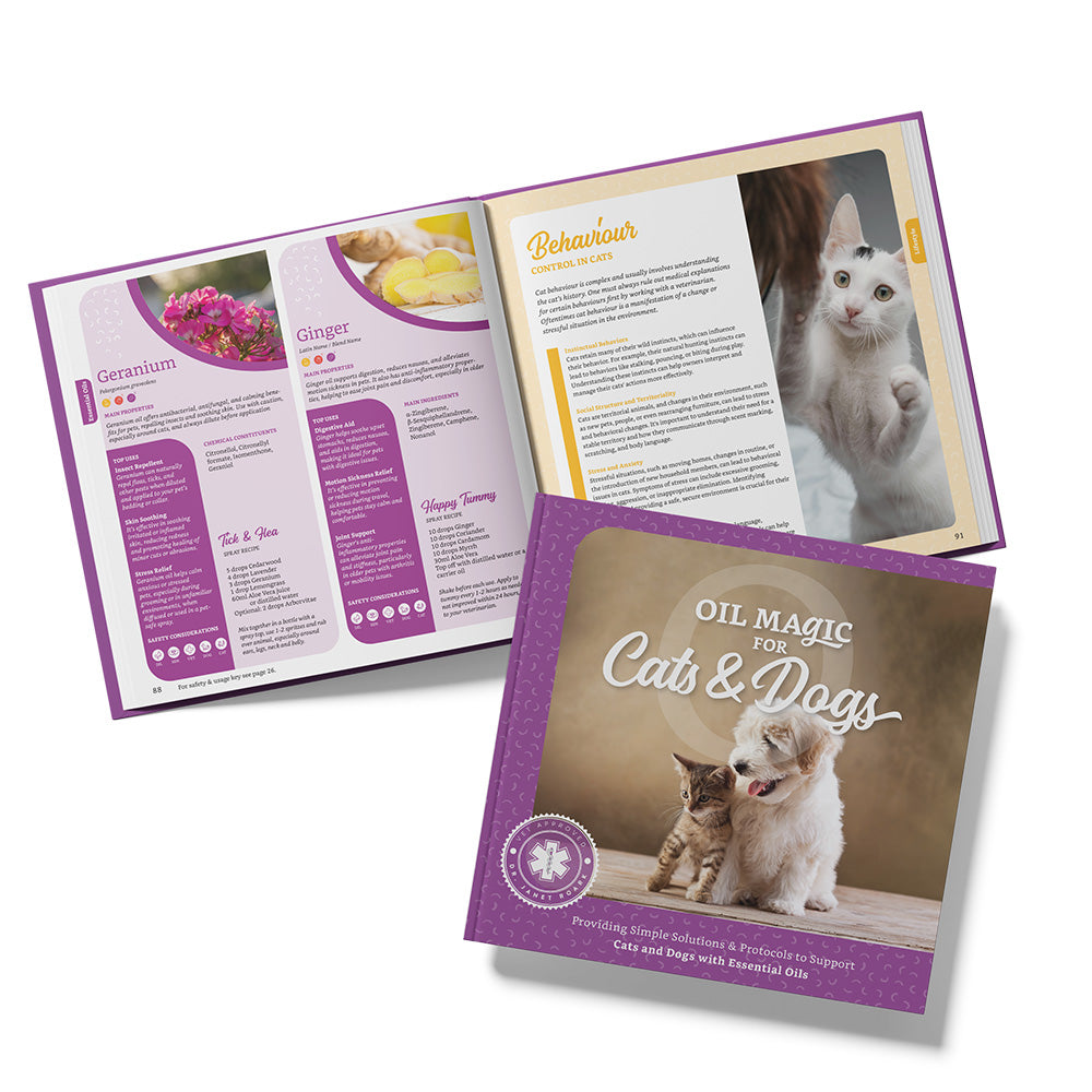 Oil Magic for Cat &amp; Dogs Book (Virtual &amp; Physical books) COMING SOON